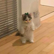 El Michi
