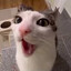 PipkaBig