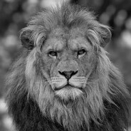 bago - steam id 76561199626548133