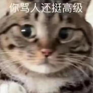路人君TnT