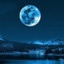 Mete_Demir