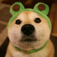 跳伞不刷抖音感觉身上有直布罗陀爬