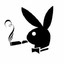 PlayBoy!