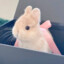 aeyeon