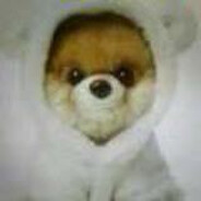 三天饿九顿的倒霉熊