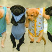 无聊的时候可以听情歌