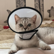 还修，收你来了