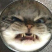 我只会心疼哥哥