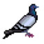 pixelbird