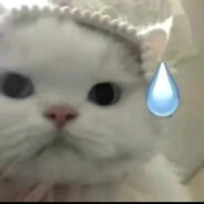 张威！！！！！！！！