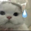 张威！！！！！！！！