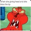 shaneyacc44