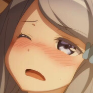 月の下に猫がいます