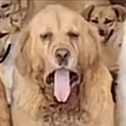 转世为朱元璋怒斩元批