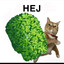 Hej