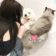 香香软软小蛋糕 1000+