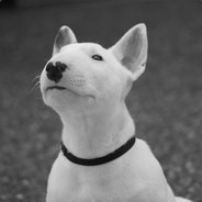 [Kola]#☛Молодой мор