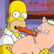 DrCheeseTaco