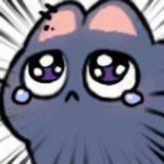 yuxinbai0.0