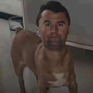 zkourenej jak zmrd