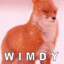 WIIMDY