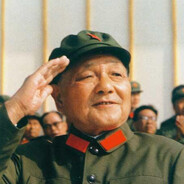 Je vole au-dessus des rizières