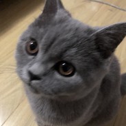乖宝宝