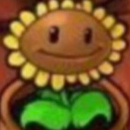 清晨射脸上的是阳光吗