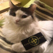 бурмалда's avatar