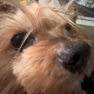 itzz_alusss7skins.army