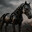 horse