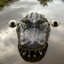 a boneless alligator