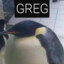 greg