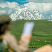 智商不在服务区