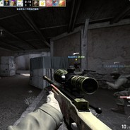 沙丘鹤空袭江南皮革厂