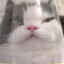 再见容易再见难