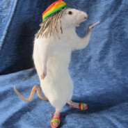 Rato c Rasta