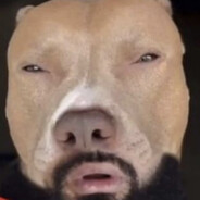 Незнающий побед