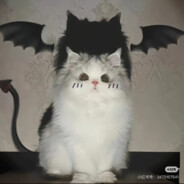 『白金瀚』♪゛〤 摆烂