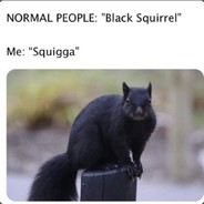 squigga