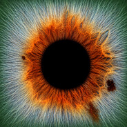 Avatar snapshot