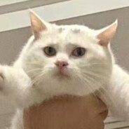 我是您的亲生父亲啊