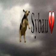 Сырный талант