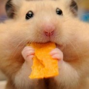 Женя бамбас 2014