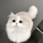 ♡