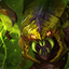 VENOMANCER