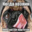 скюрля вюрля