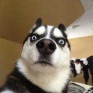 荒古血脉的纯二哈