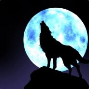 WolfmoonLin