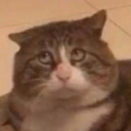 纯新手 不会玩 不会玩